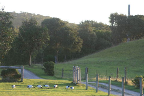 Driftwood Villas - Yamba Accommodation 1
