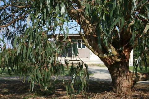 Driftwood Villas - Yamba Accommodation 3
