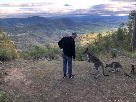 Eagleview Resort - Yamba Accommodation 2