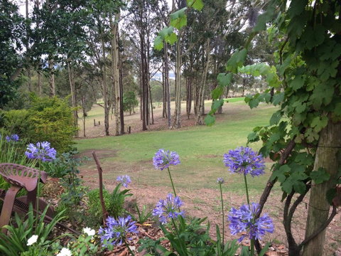 Elfin Hill Vineyard Accommodation - Yamba Accommodation 2