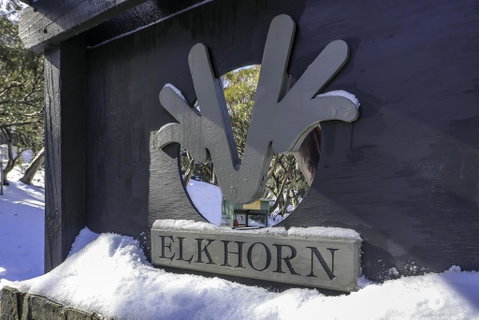 Elkhorn 11 - Yamba Accommodation 2
