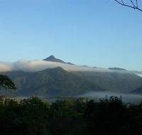Epiphyte B  B - Yamba Accommodation