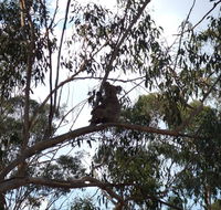 Escape to the Country - Enjoy the firepit or explore magical Bunya Mountains - Yamba Accommodation