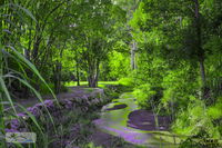 Book Esk Accommodation Vacations Yamba Accommodation Yamba Accommodation