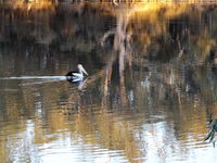 Book Euston Accommodation Vacations Yamba Accommodation Yamba Accommodation