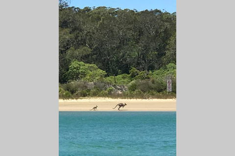 FAIRVIEW COTTAGE 25B - Waterfront Accommodation - Yamba Accommodation 0