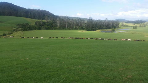 Farm Golf - Yamba Accommodation 2