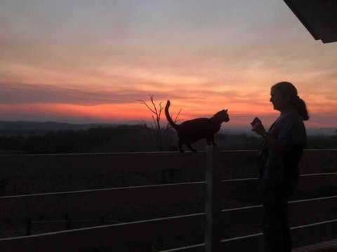 Farringdon Homestead - Yamba Accommodation 1