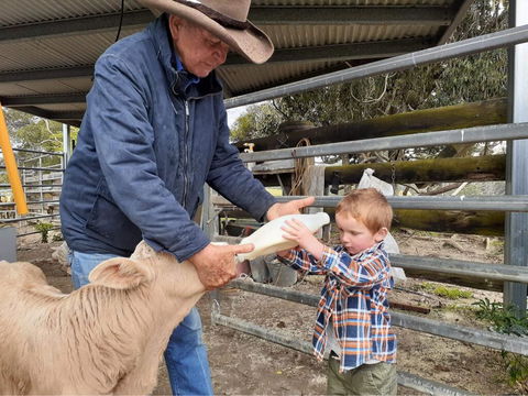 Fay's Cottage - Yamba Accommodation 2