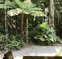 Forest Views Daintree - Yamba Accommodation