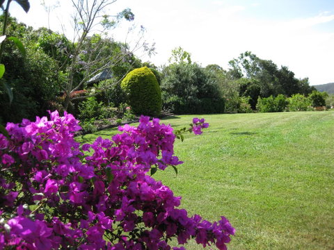 French Cottage & Loft - Yamba Accommodation 3