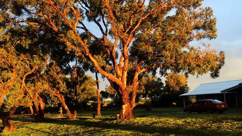 French Island Cottage - Yamba Accommodation 1