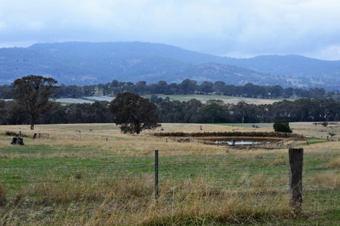 Friends In Harcourt North - Yamba Accommodation 2