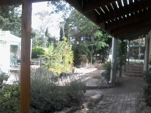 Friends In Harcourt North - Yamba Accommodation 0