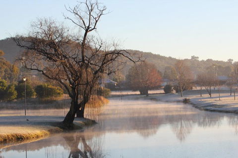 FROGGIES HOLIDAY HOUSE - Yamba Accommodation 1