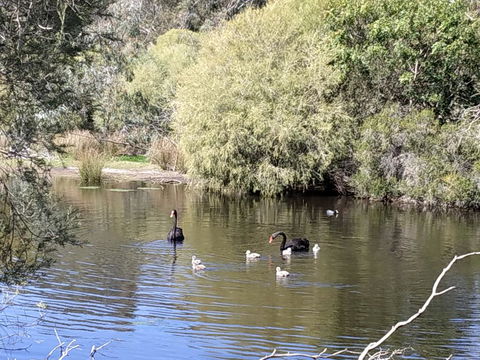 Gosnells Homestay - Yamba Accommodation 3