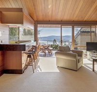 Grey Kangaroo- On Lake Jindabyne foreshore - Yamba Accommodation