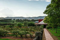 Book Pokolbin Accommodation Vacations Yamba Accommodation Yamba Accommodation