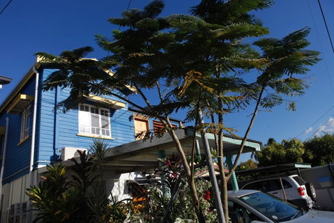 Happytourcairns Sharehouse - Yamba Accommodation 0