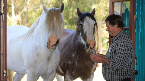 Hatchers Richmond Manor - Yamba Accommodation 1