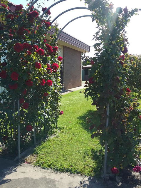 Heywood Motor Inn - Yamba Accommodation 1