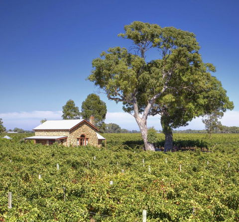 Highbank Country Accommodation - Yamba Accommodation 3