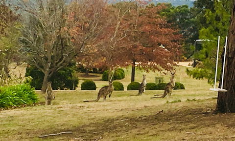 Highfield Cottage - Yamba Accommodation 2