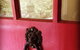 Highland Cottage - thumb 3