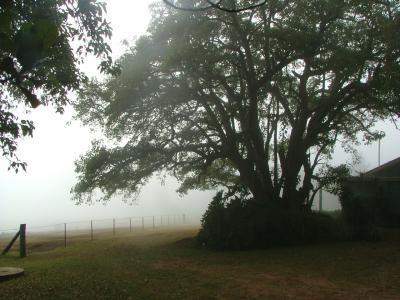 Hillview Cottages - Yamba Accommodation 3