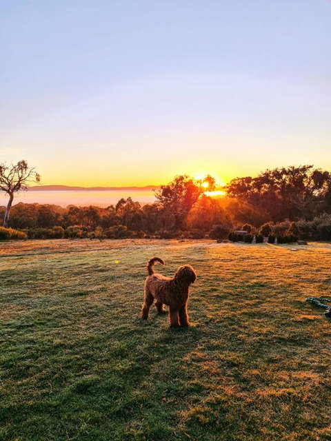 Horningsea - Yamba Accommodation 3