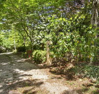 Jalscene - Yamba Accommodation