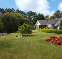 Jarrah - Yamba Accommodation