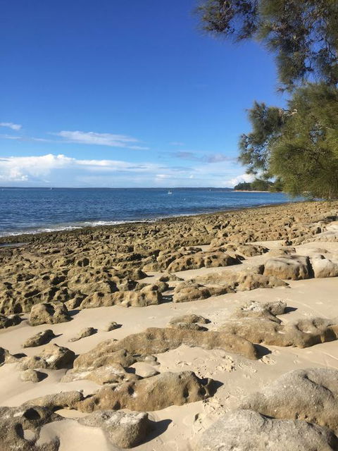 Jervis Bay Magic Vincentia South Coast - Yamba Accommodation 0