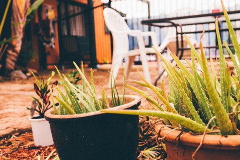 JJs Backpackers Hostel - Yamba Accommodation 2