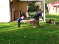 Book Kalgan Accommodation Vacations Yamba Accommodation Yamba Accommodation