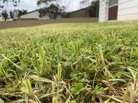 Book Karoonda Accommodation Vacations Yamba Accommodation Yamba Accommodation