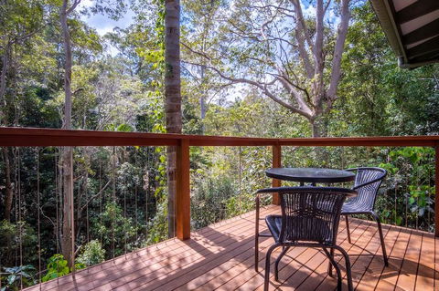 Kondalilla Eco Resort - Yamba Accommodation 3