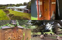 Book Kongwak Accommodation Vacations Yamba Accommodation Yamba Accommodation