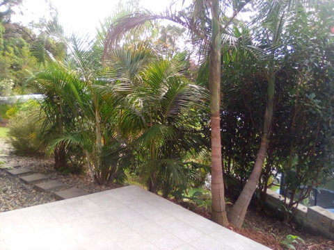 Korora Guest House - Yamba Accommodation 2