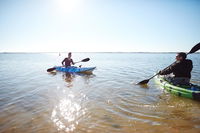 Book Lake Boga Accommodation Vacations Yamba Accommodation Yamba Accommodation