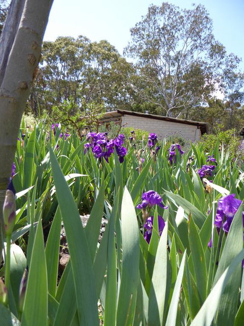 Lakeside Lodge Armidale - Yamba Accommodation 3