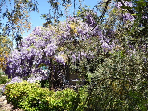 Lakeside Lodge Armidale - Yamba Accommodation 1