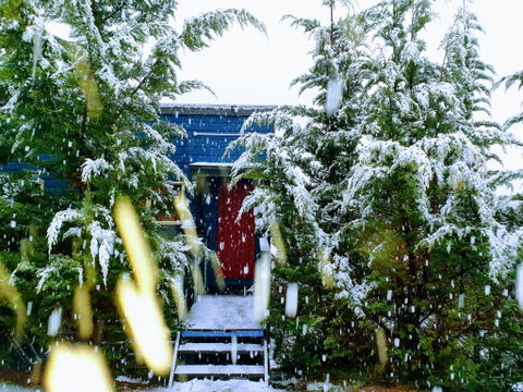 Lakeside Studio - Yamba Accommodation 0