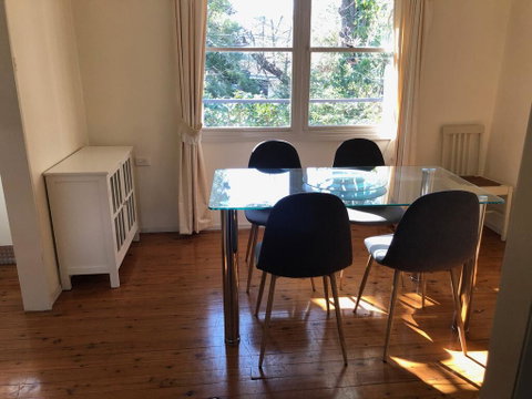 Leura Camellias - Yamba Accommodation 1