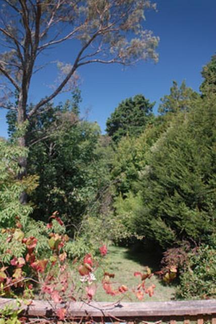 Leura Lady - Yamba Accommodation 3