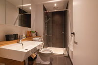 LUXE 2B apartment fully furnished with pool and gym