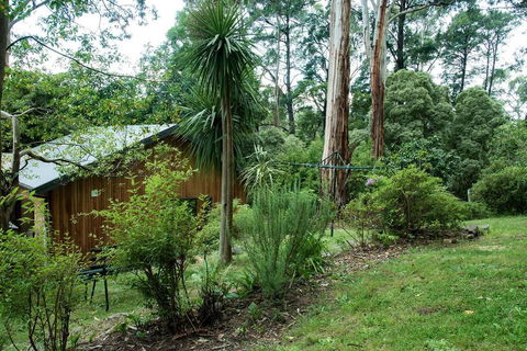 Luxury Forest Retreat - Puffing Billy - Yamba Accommodation 2