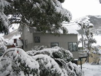 Magpies Nest