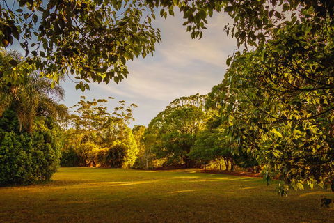 Malanda Lodge - Yamba Accommodation 1