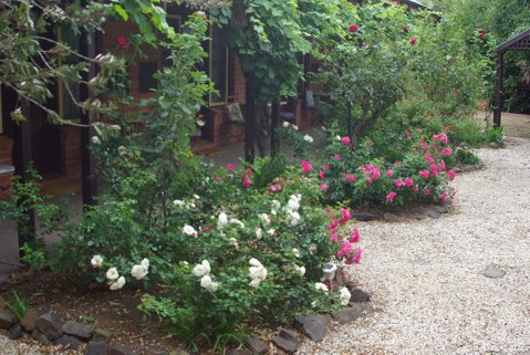 Motel Maldon - Yamba Accommodation 0